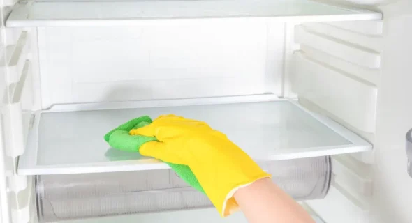 Can I use Lysol wipes to clean fridge? Explained